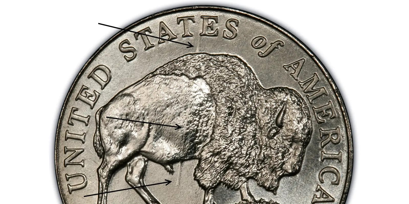 A picture of the 2005-D Speared Bison nickel showing a deep die gouge that runs through the buffalo's body like a spear.