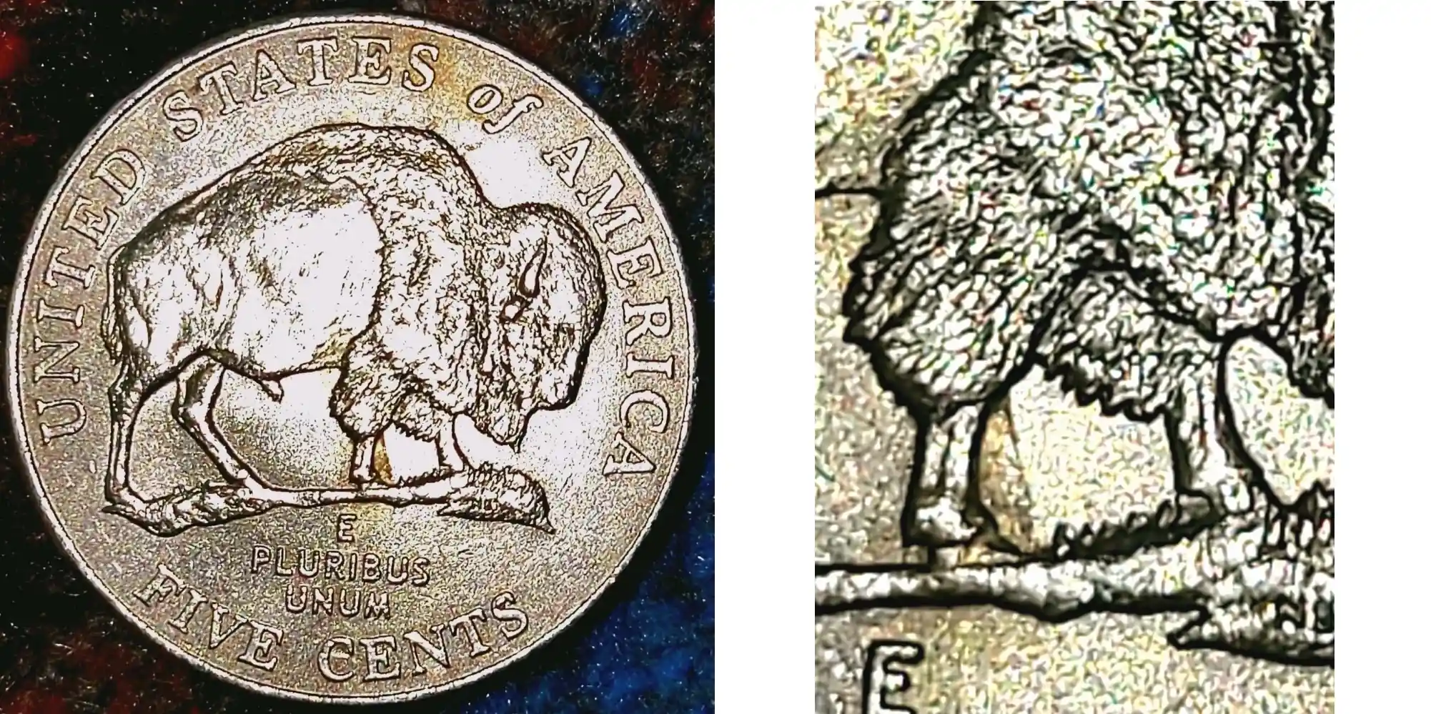A picture of the 2005-P Buffalo nickel showing a visible extra leg beneath the buffalo, caused by a possible incomplete planchet or die anomaly.